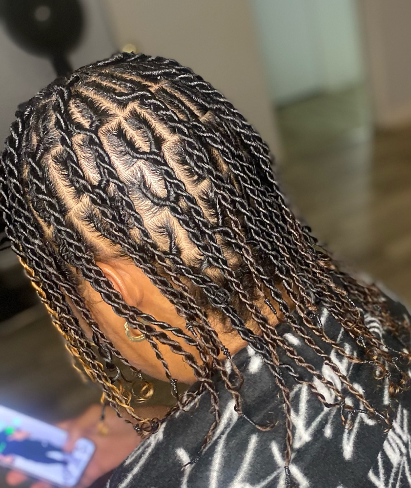 Two Strand/ Flat Twist at The Beauty Mark in Laurel, MS