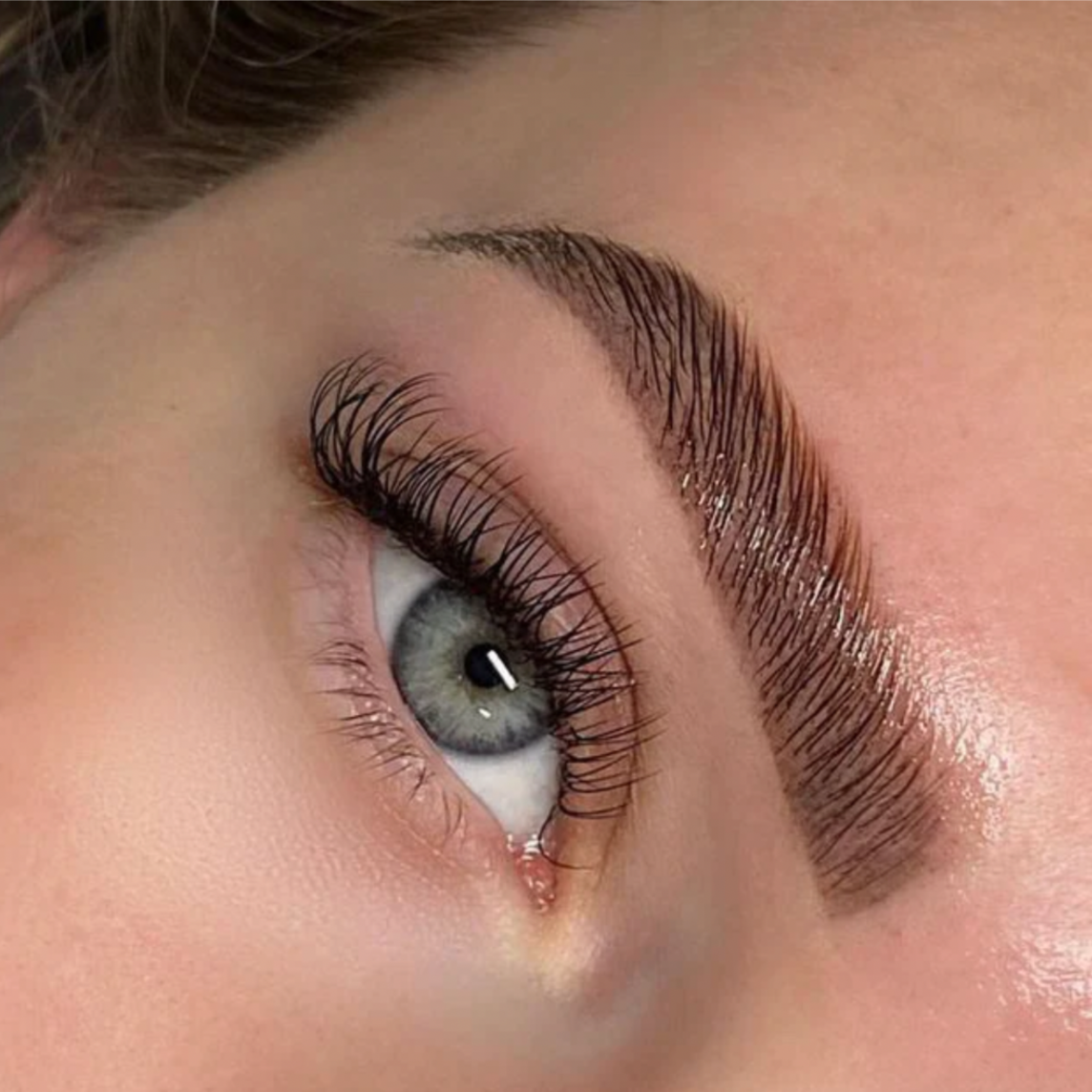 Brow Lamination + Tint at Rose & Balance Skin Studio in San Diego, CA