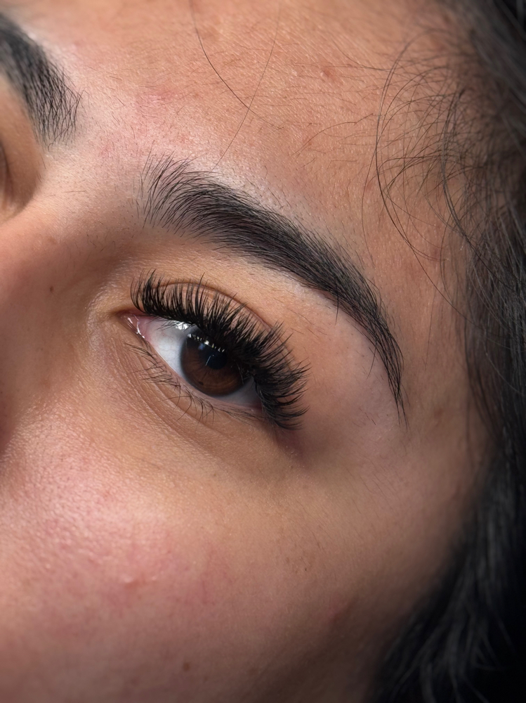 Lash Extensions Voluminous