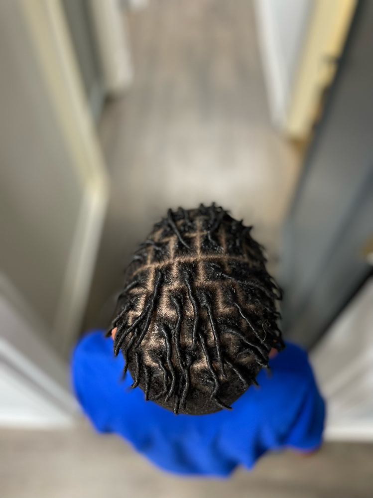 Starter Locs
