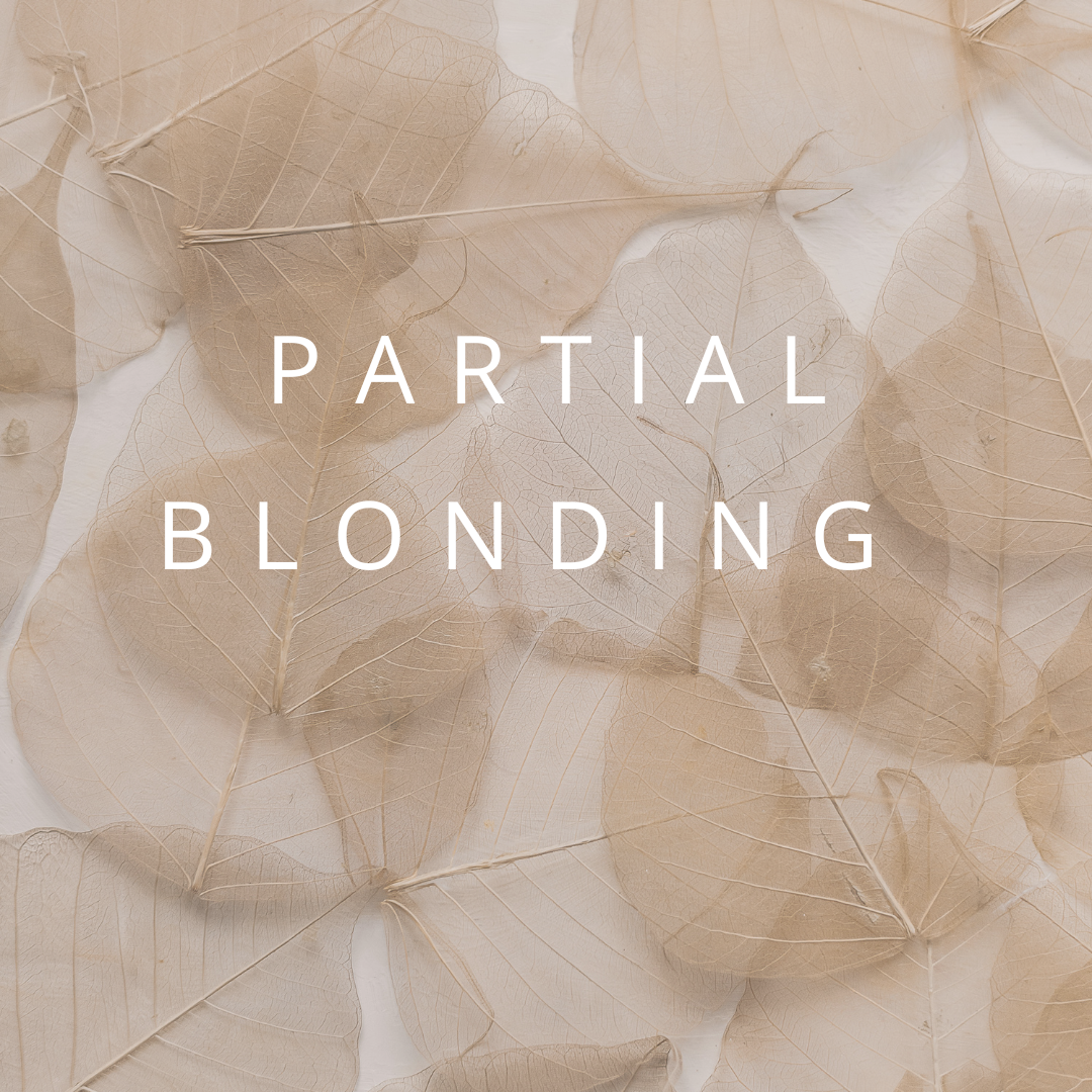 Partial Blonding + Haircut