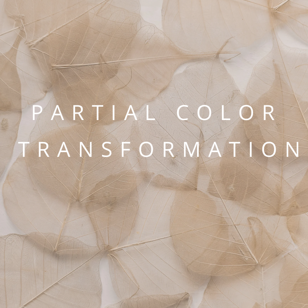 Partial Color Trasnformation