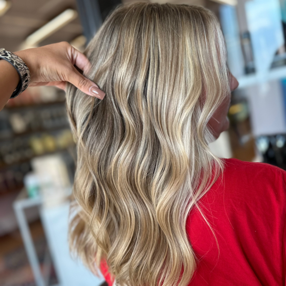 Partial Highlight at The Mane Experience in Burr Ridge, IL