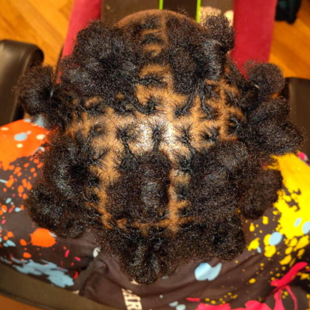 Microlock Starter Locs