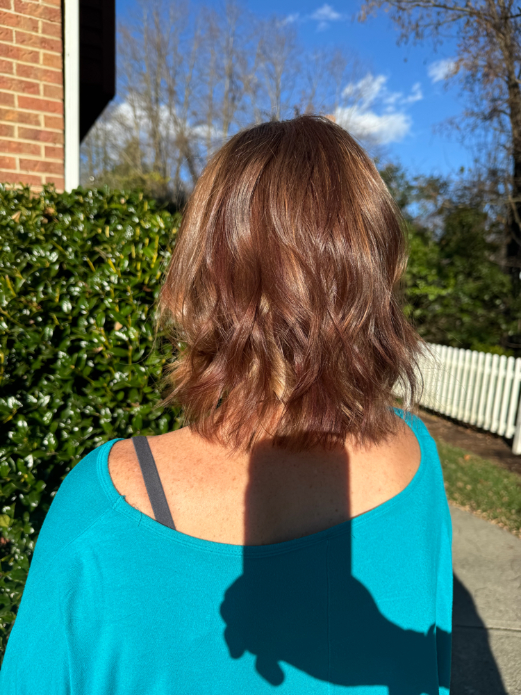 Women’s Dry Haircut