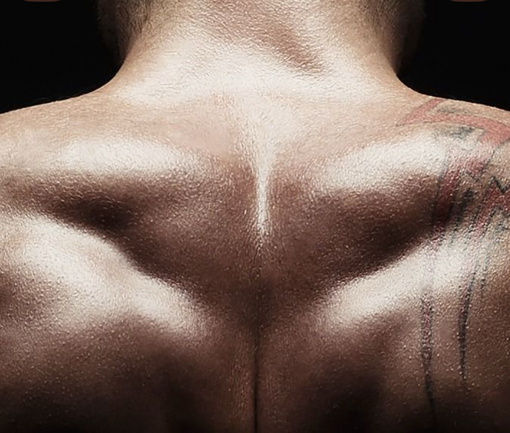 Upper Back, Lower Back Or Mid Back