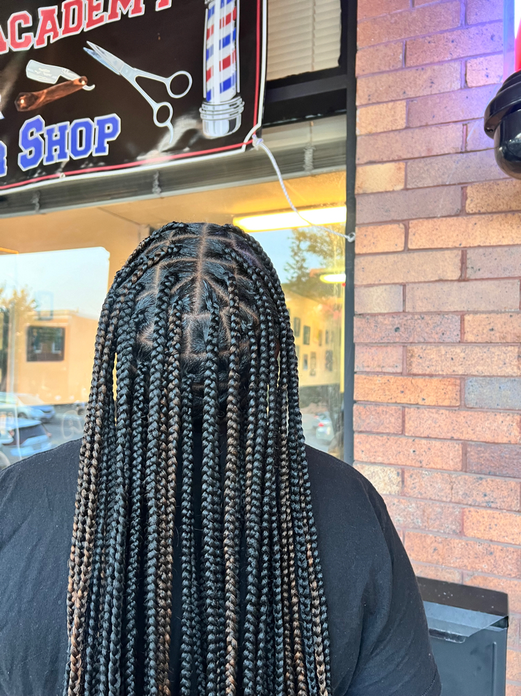 Single Braids at Liv Lavish Beauty in Baltimore, MD