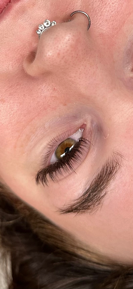 2 Week Lash Fill