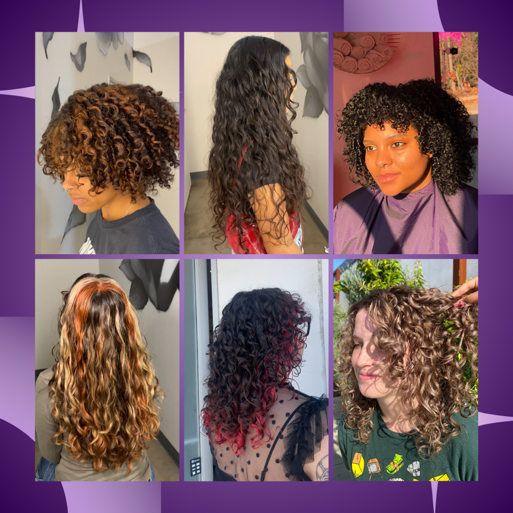 Curly Cut ⭐️✂️ at Lenes Dollhouse in North Richland Hills, TX
