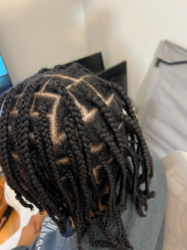 Mini Twists or Plaits
