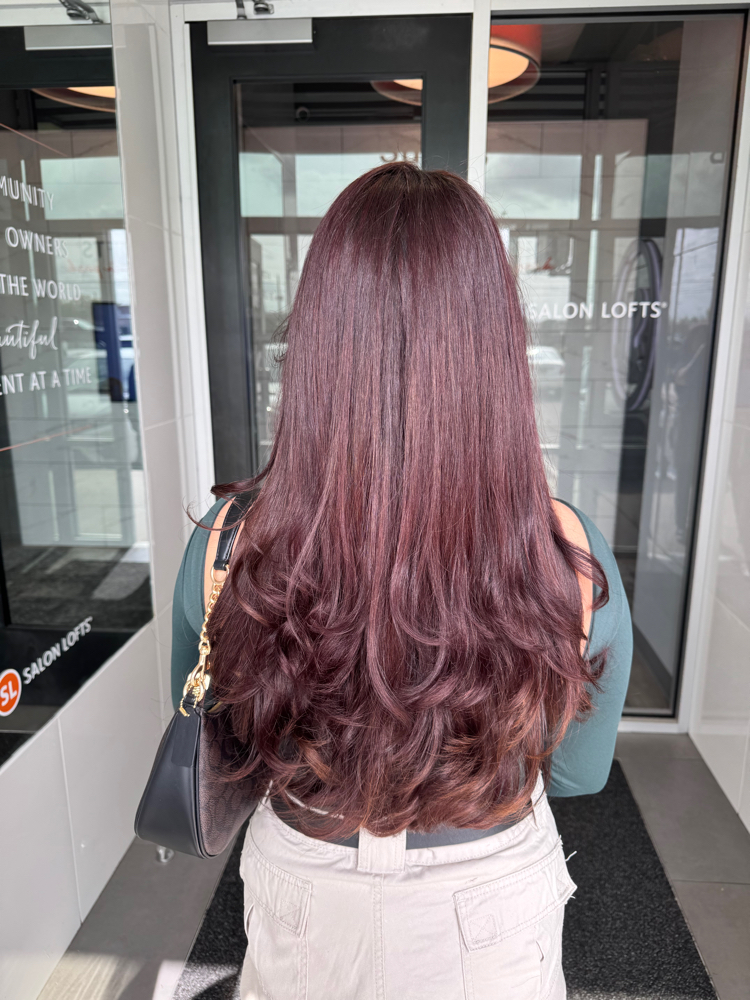 All Over Color (No blow Dry)