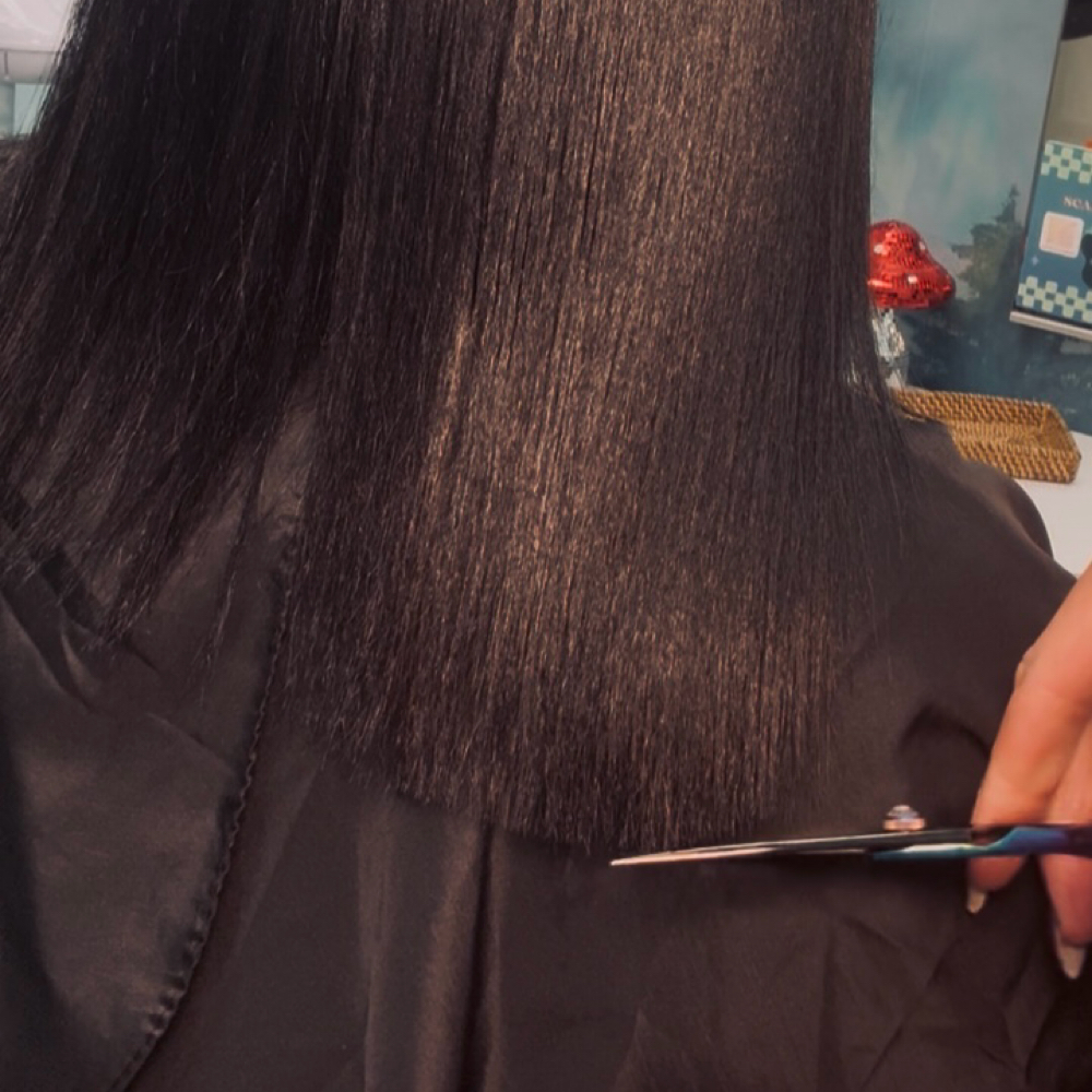 Press & Trim at Shear Artistry by Whitney in St Louis Park, MN