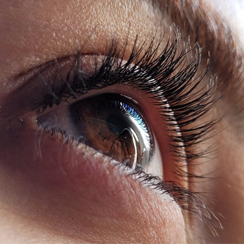 Korean Lash Lift Model