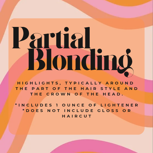 Partial Blonde at Eco Hair + Beauty in Chesterfield, MI