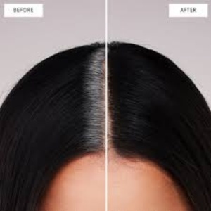 Root Touch-up at Botanical Reflections in Mishicot, WI