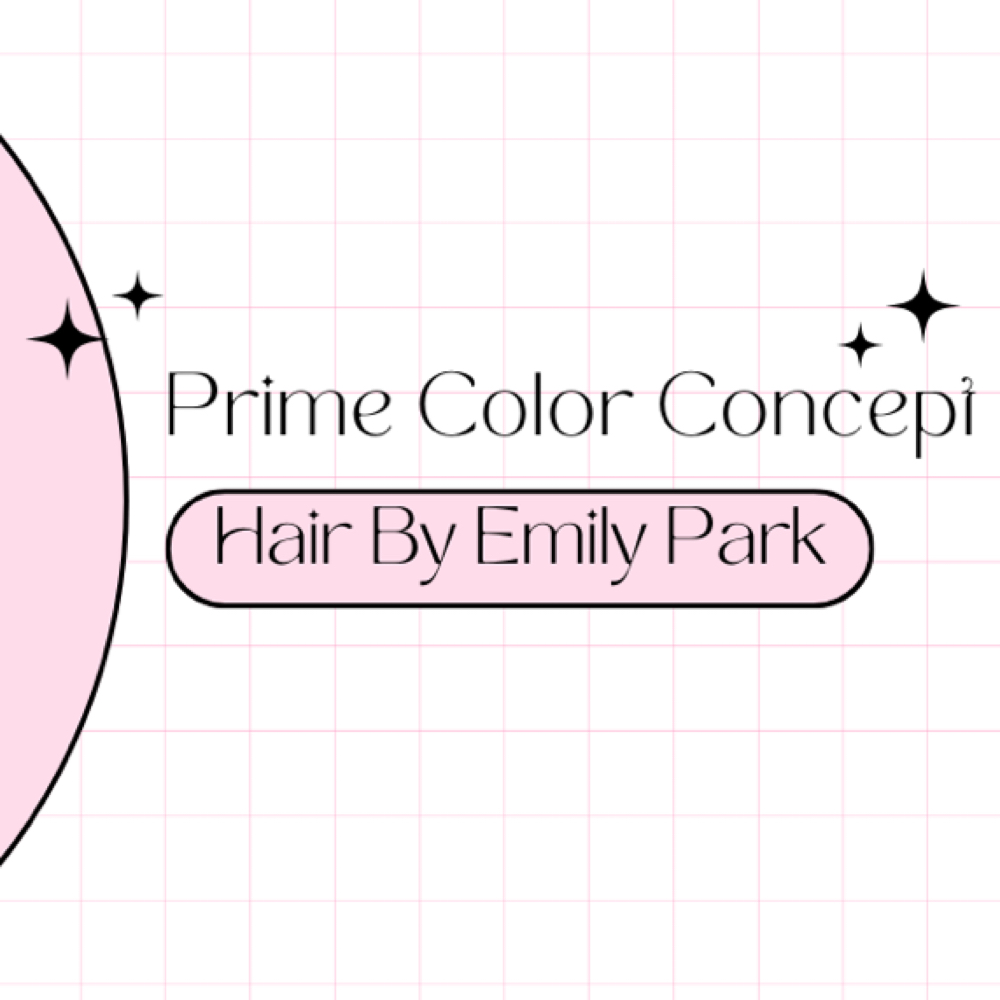NEW CLIENT CONSULTAION at Prime Color Concept | Hair by Emily Park in Sandy, UT