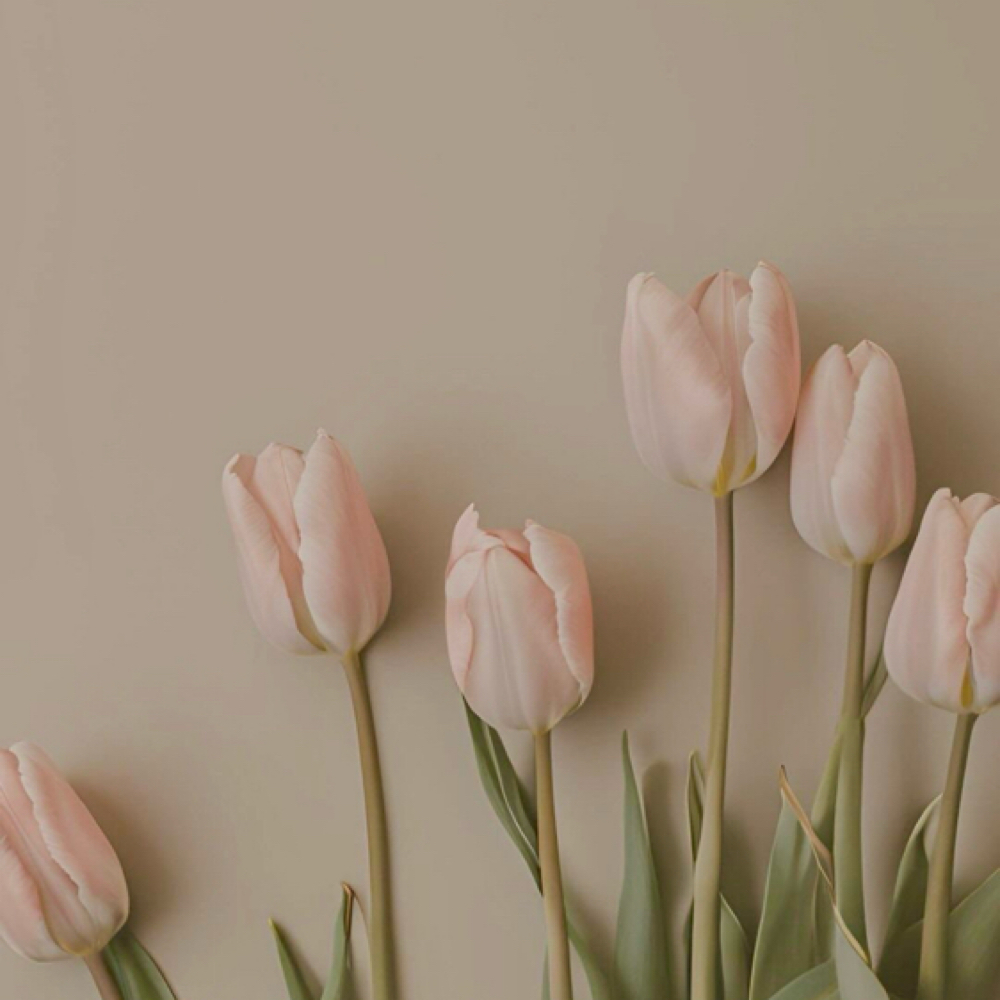 Bloom & Balance Facial at Halo Esthetics in Sioux Falls, SD