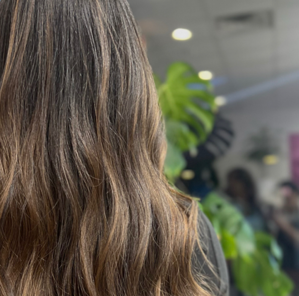 Balayage at Crave Collective-Paris in Overland Park, KS