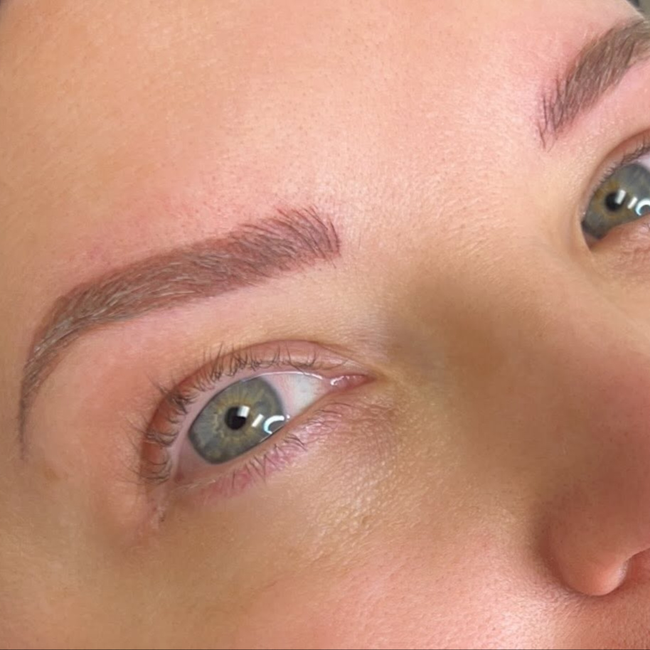 Eyebrows at Ink 865 in Powell, TN