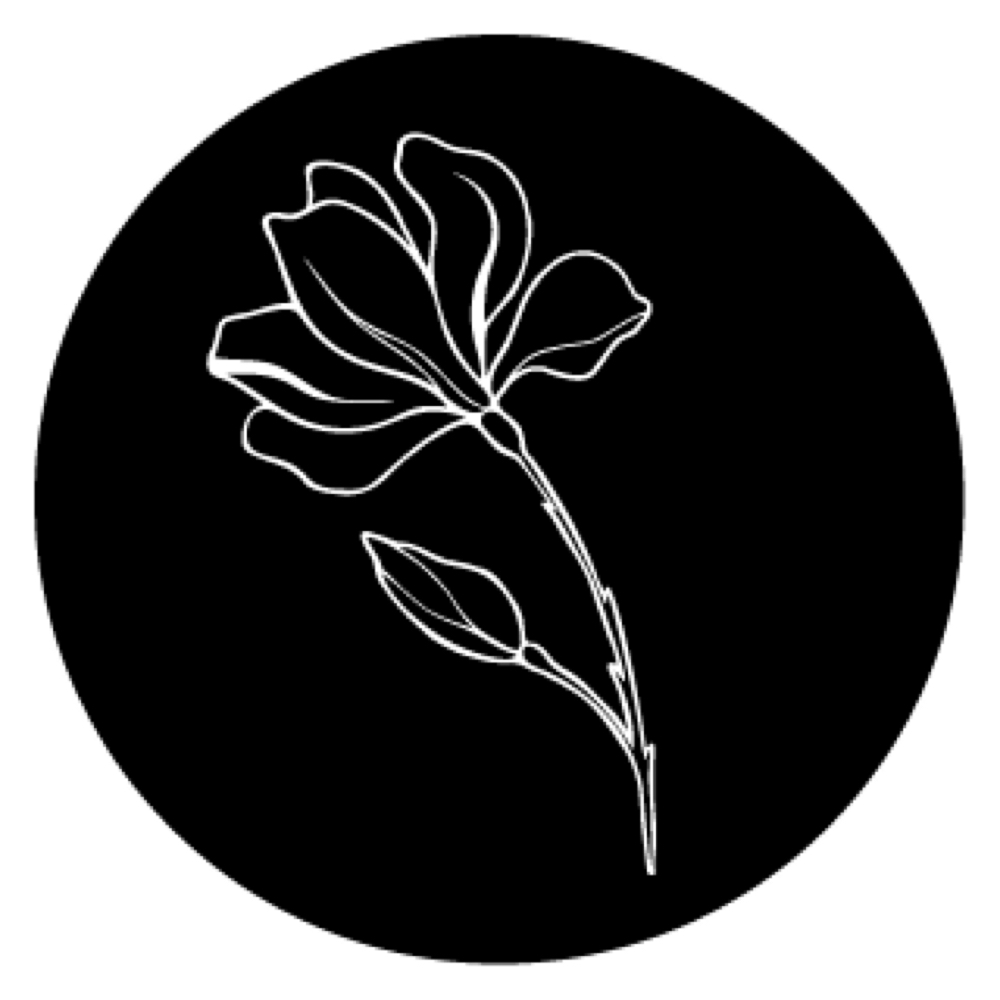Dermaplanning Facial at Trubeauty Esthetics in Ammon, ID