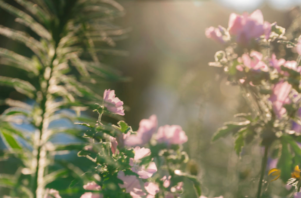 Short Haircut at Jordan Eliza in Benton, ME