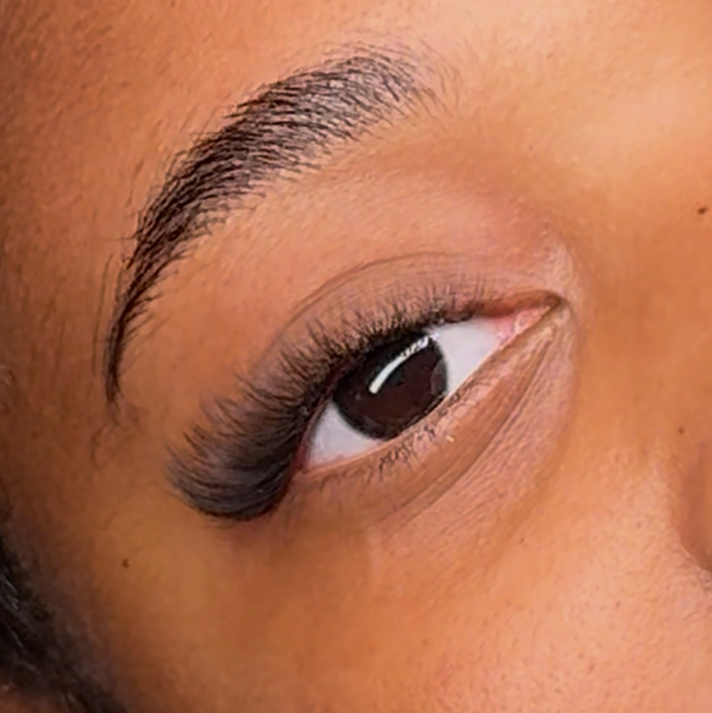 Sedux Signature Lash Set