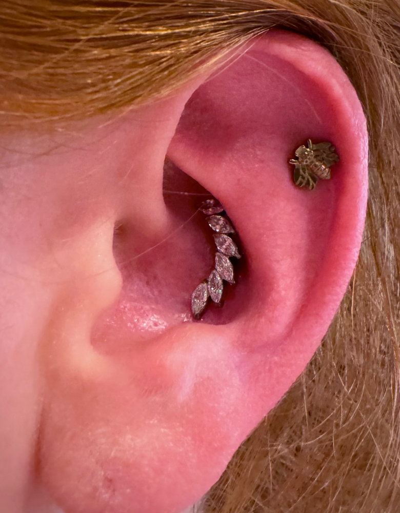 Conch