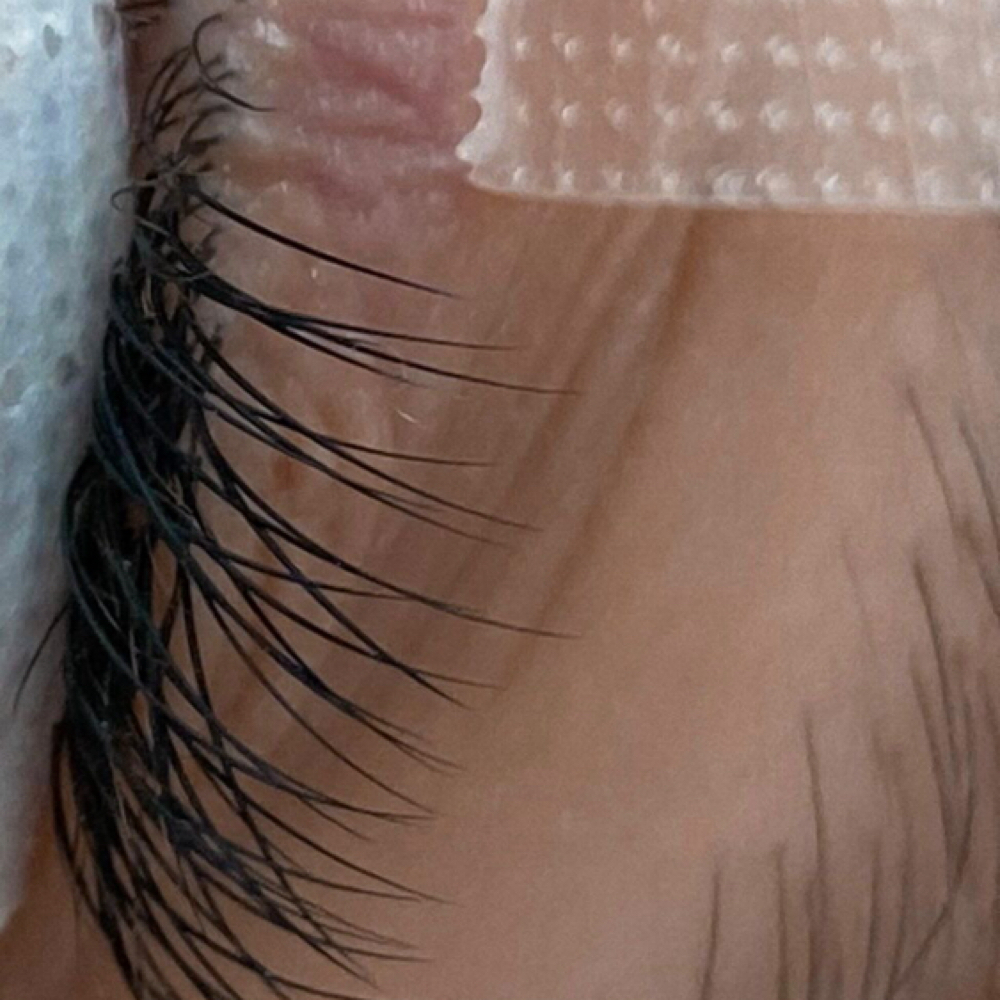 Fall Sale Full Set🍂 at Alchemy lash & beauty in Las Vegas, NV