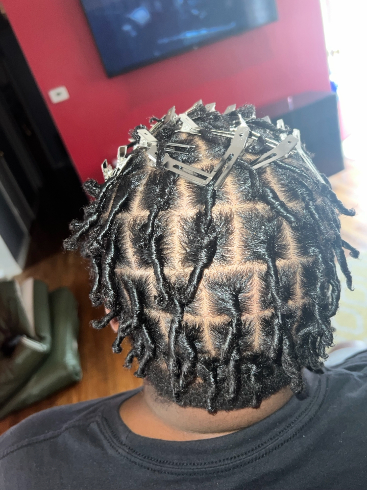 Starter Locs