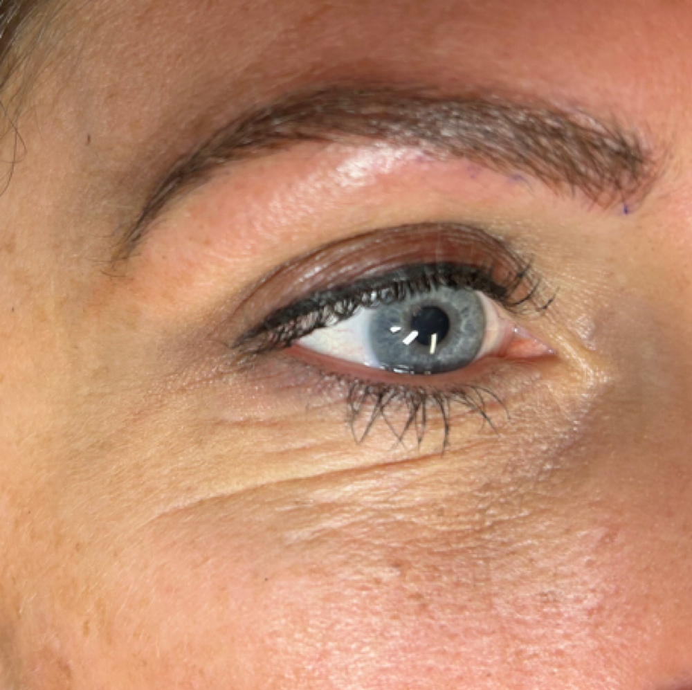 Eyeliner PMU *Upper Eye Only at Pretty In Ink PMU & Electrolysis in Portsmouth, OH
