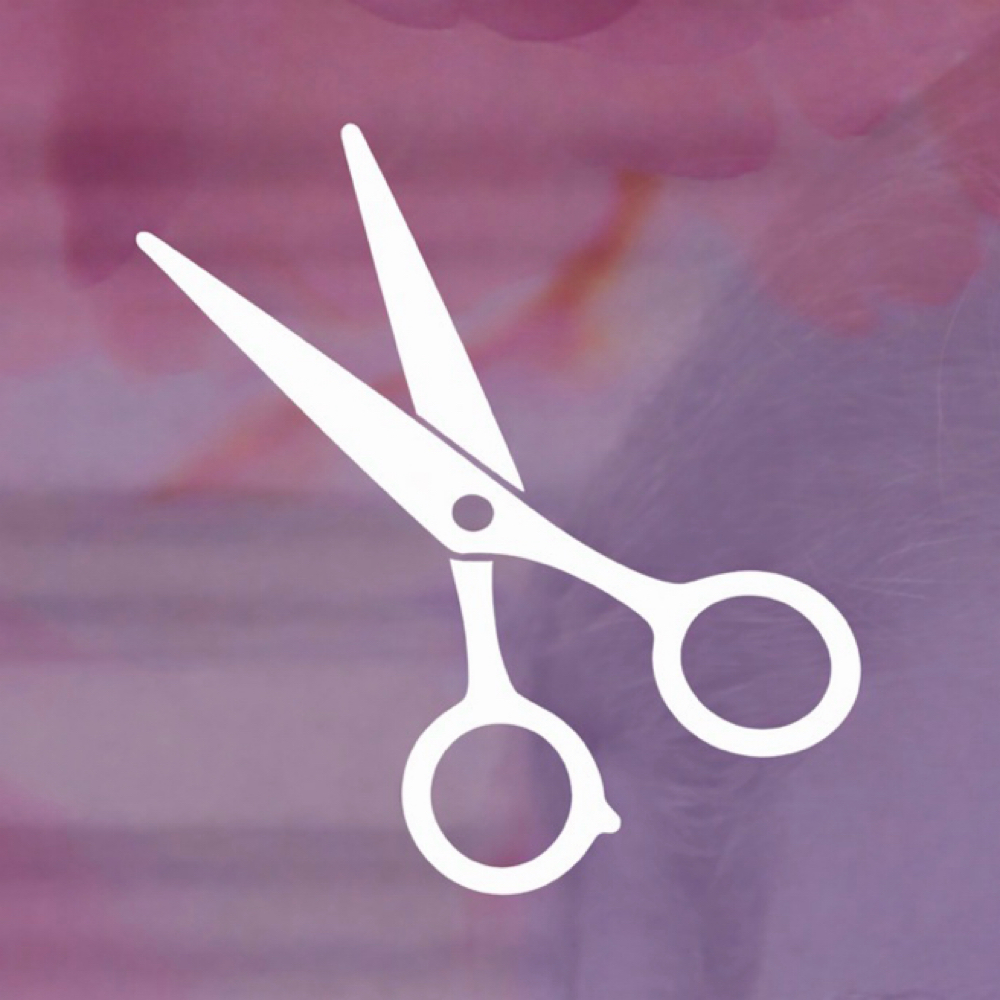 Bangs at audrey glazier in La Mesa, CA