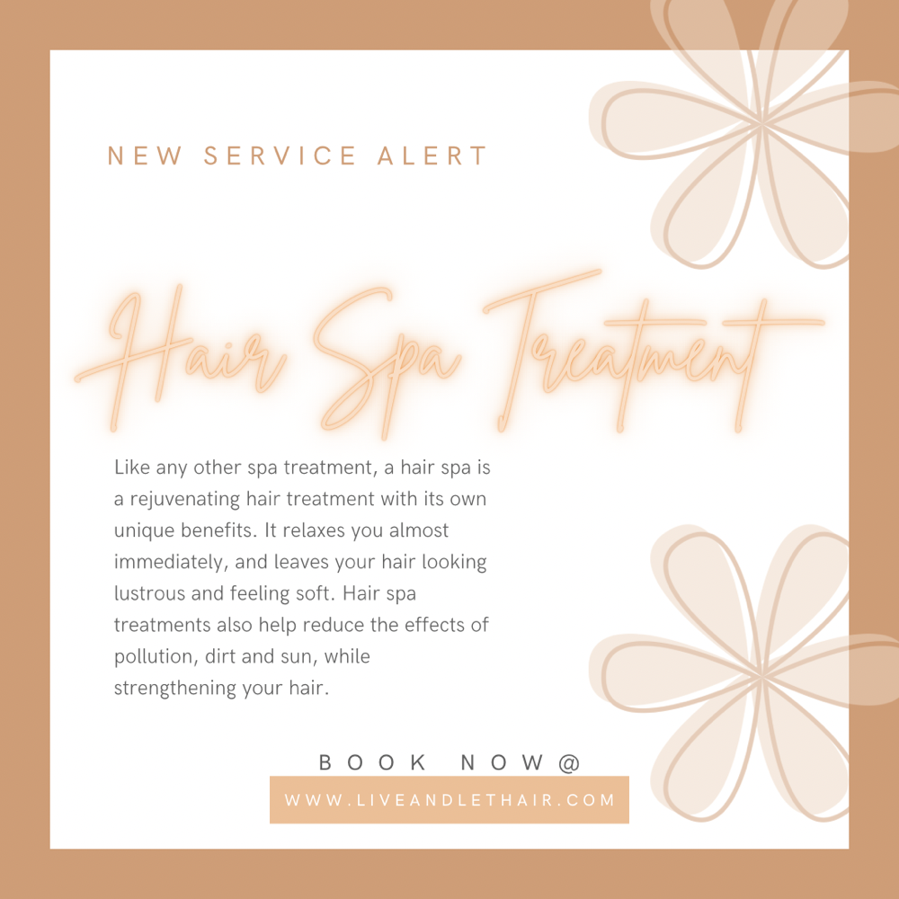 Hair Spa Treatment