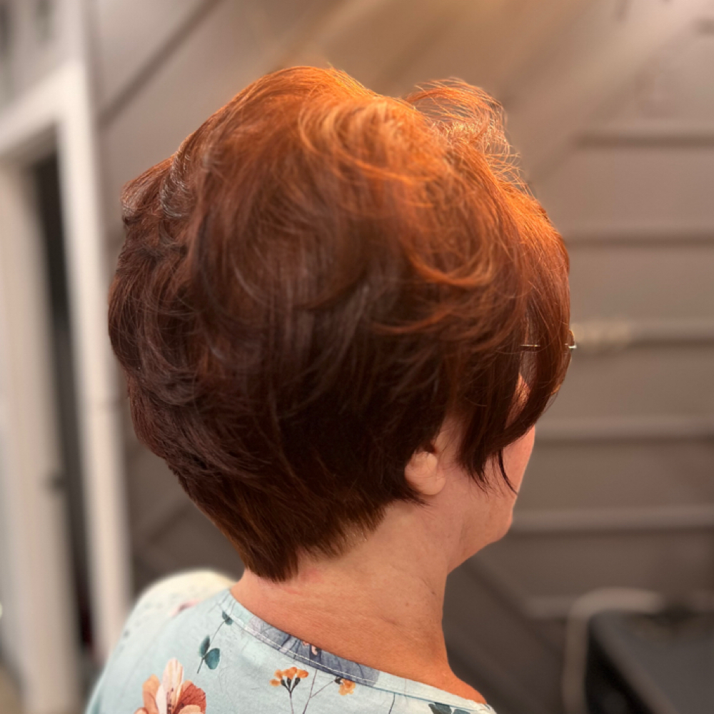 Senior Cut And Color at Danie Cole in Lapeer, MI