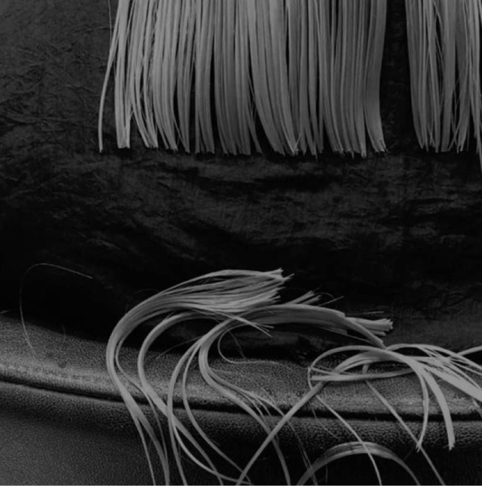 Bang Trim at Shady Dale Studio in Cloverdale, IN