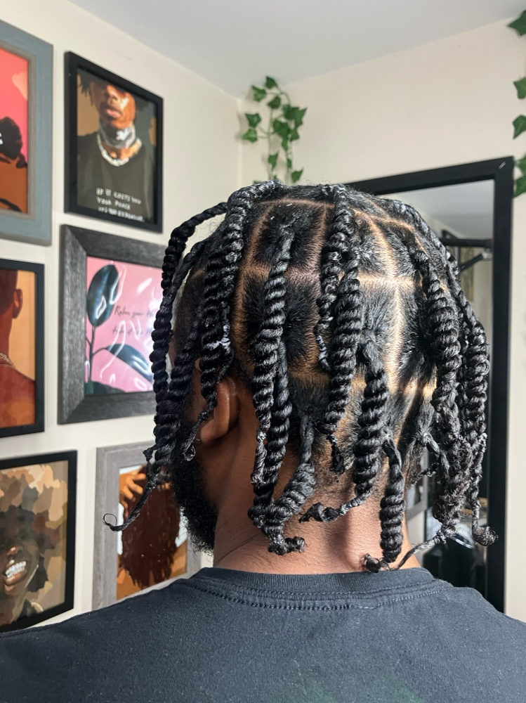 Two Strand Twists