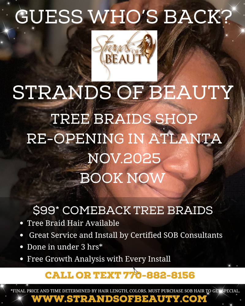 $99 Comeback Tree Braid Special