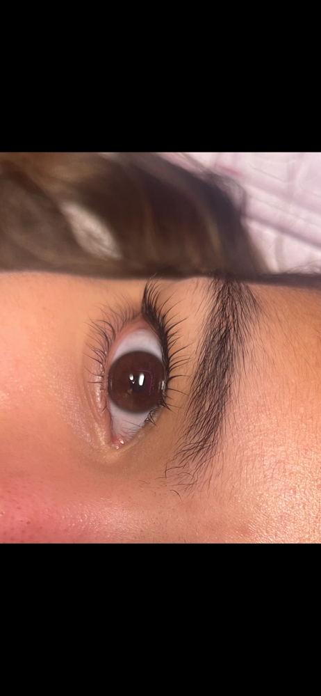 Lash Lift & Tint at Looks By Kye in Kokomo, IN