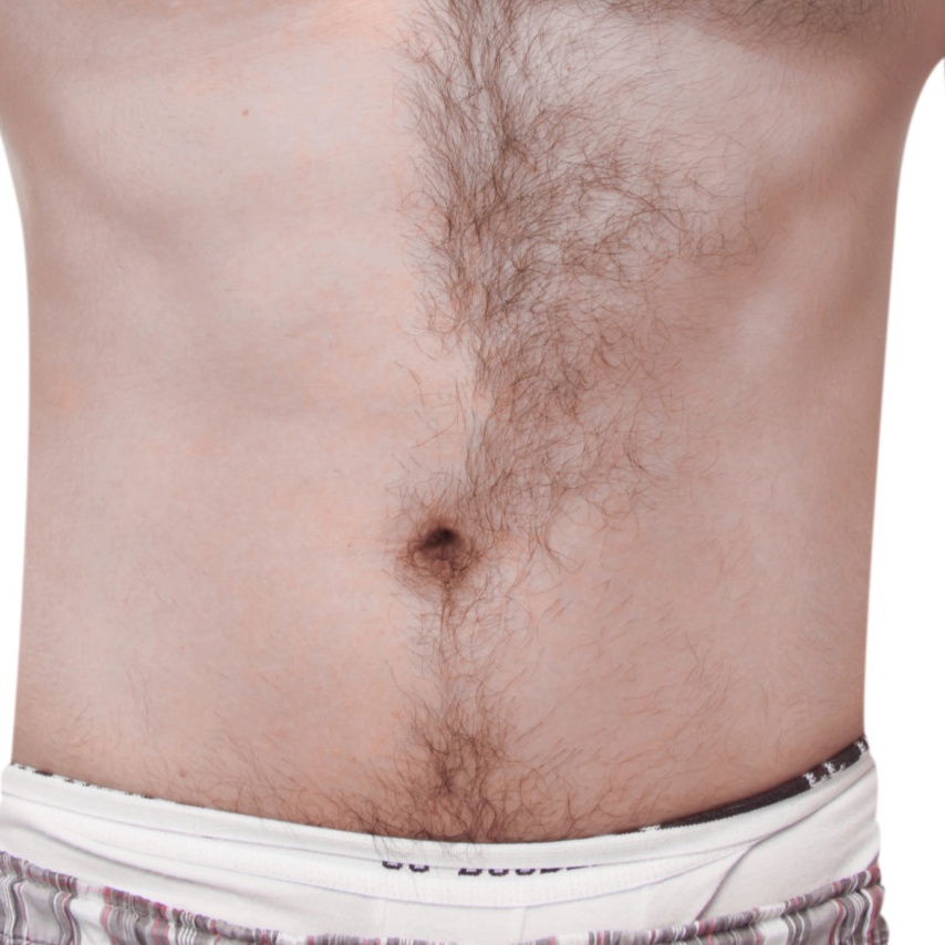 Abdomen at Honey Bee Smooth in Richmond, KY