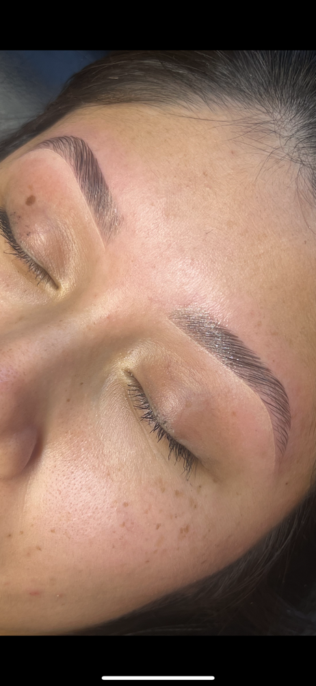 Eyebrow Lamination