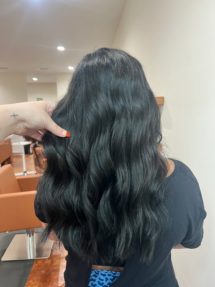 Root Touch Up