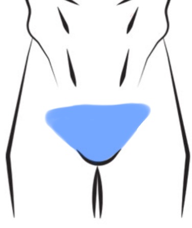 Bikini Full P