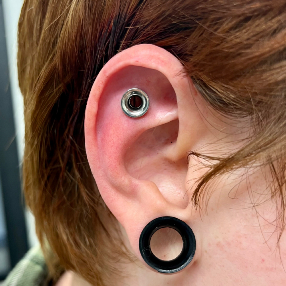 PUNCH OUT at Crow & Taper in Hanover, PA