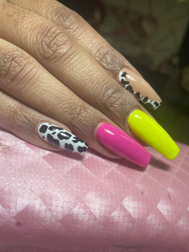 Basix Full Set