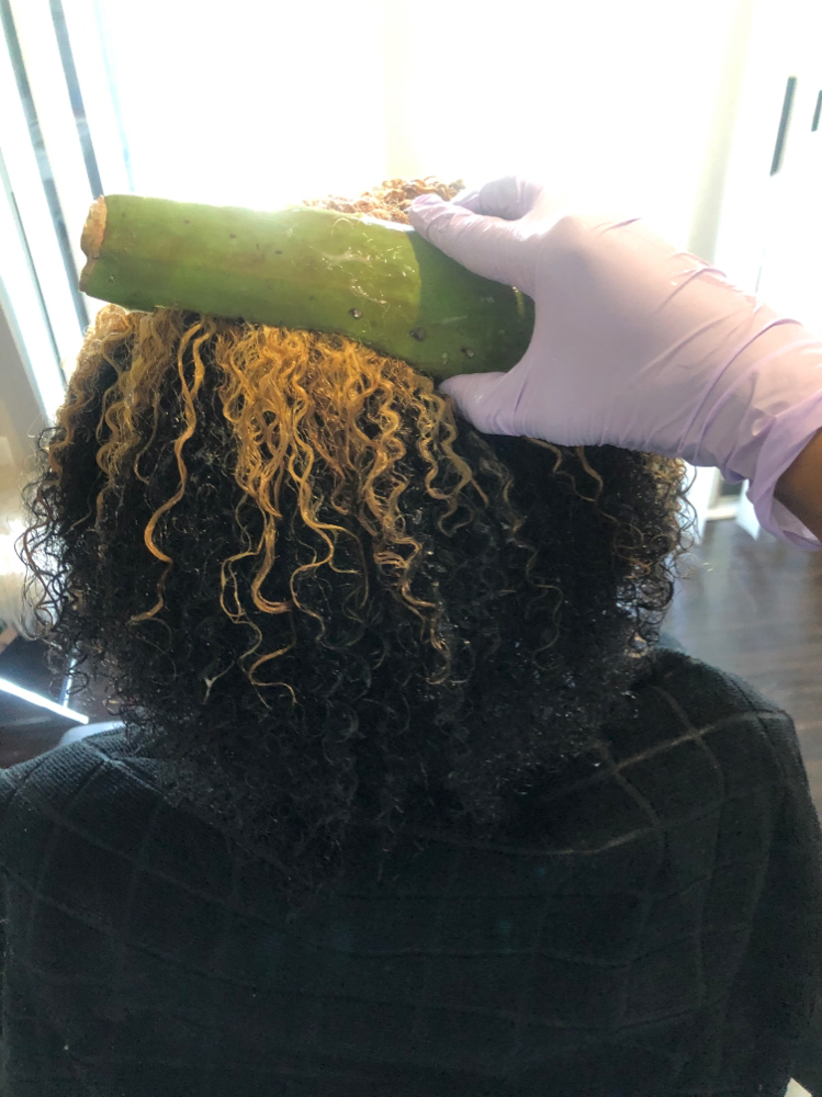 Wig Prep + Detox