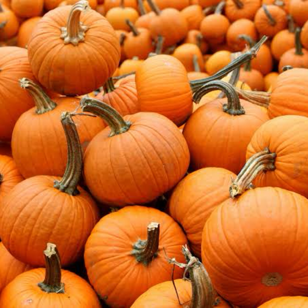 Autumn Reset at Appalachian Roots Healing Arts in Connellsville, PA
