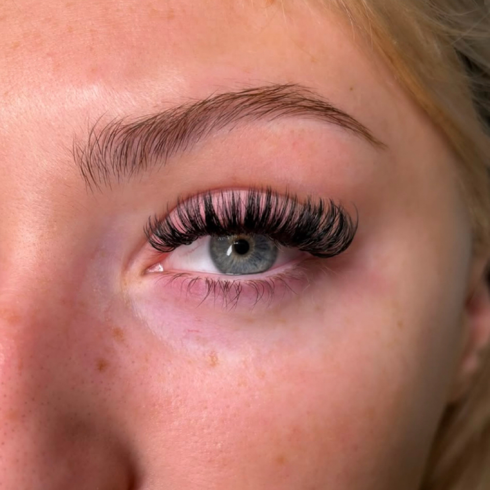 Standard Fill - lash extensions at Evolve Skin And Beauty in San Diego, CA