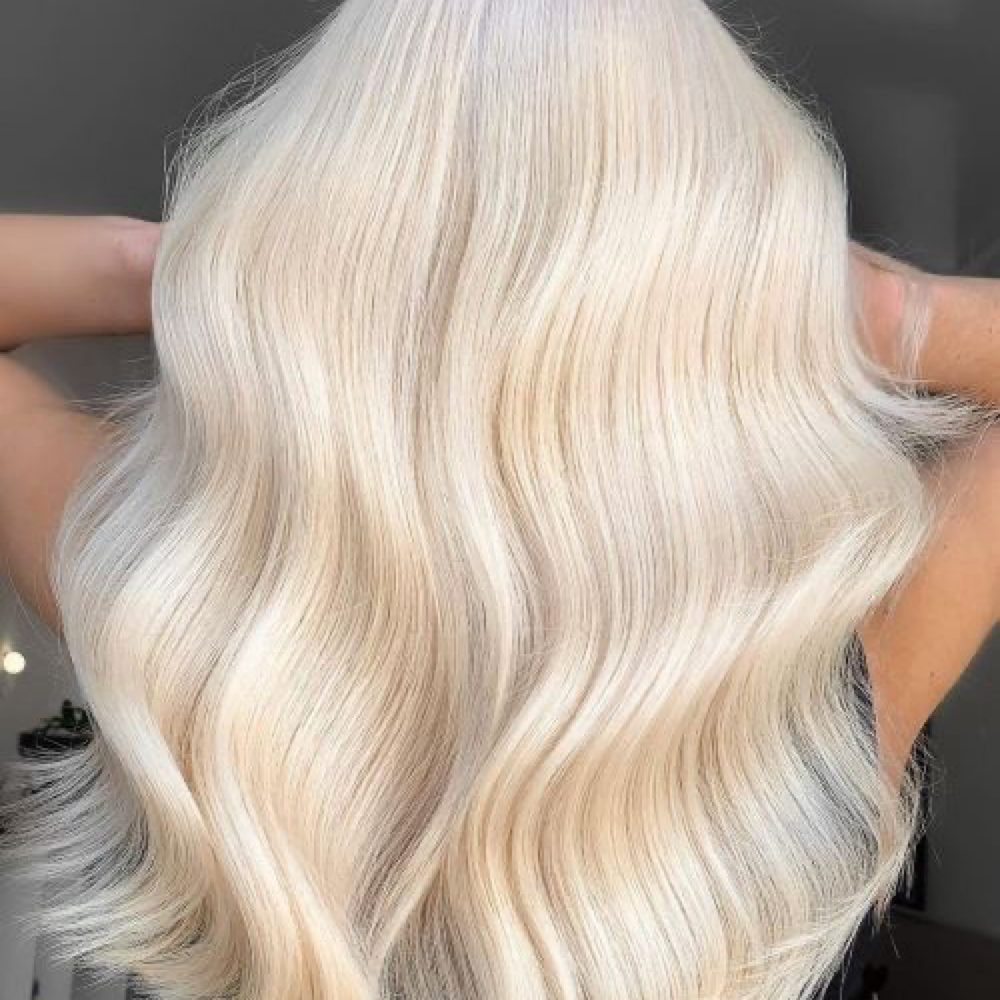 Bleach & Tone (retouch only) at Haven & Mane in Crab Orchard, WV