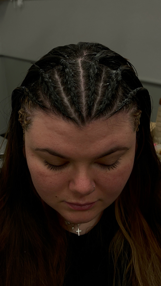 Braids/Twists/Feed Ins