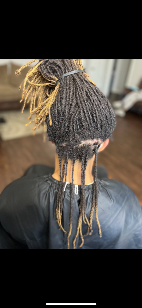 Full Maintenance Midback/Longer