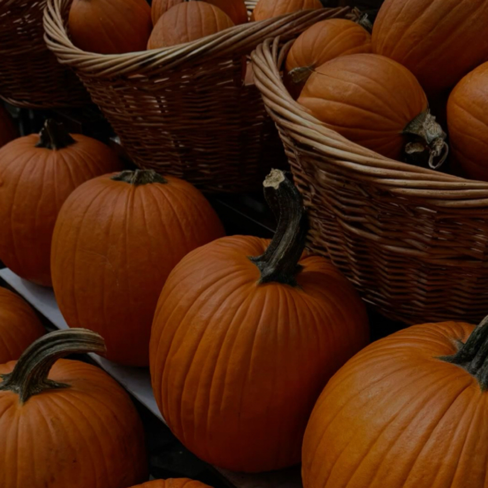 The Pumpkin Honey Facial at The Skin Studio in Burlington, IA